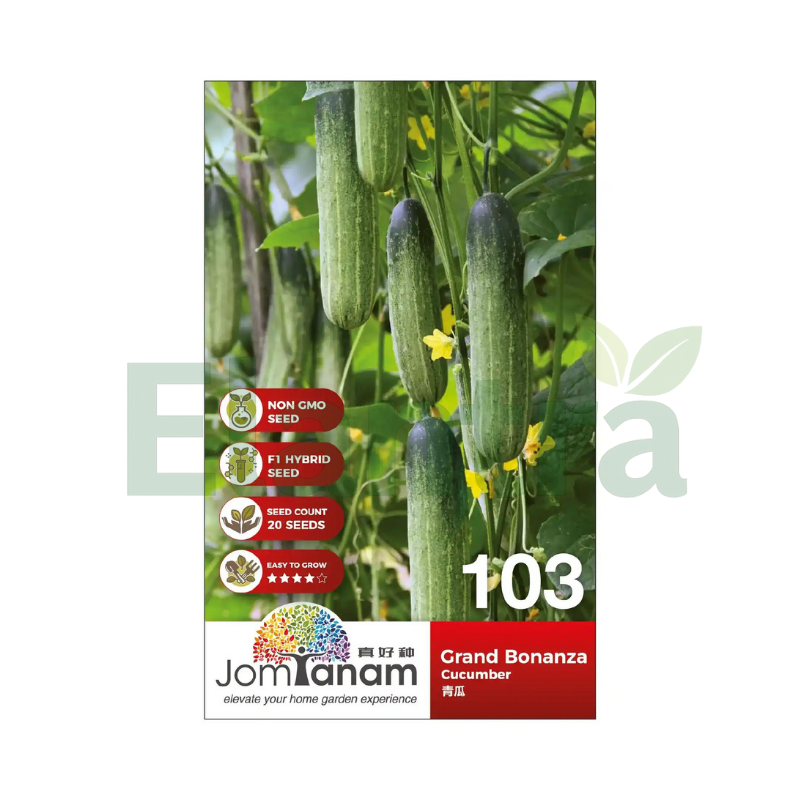 103 CUCUMBER